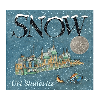 Snow - Board Book