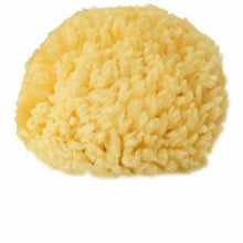 Kyte Sea Sponge