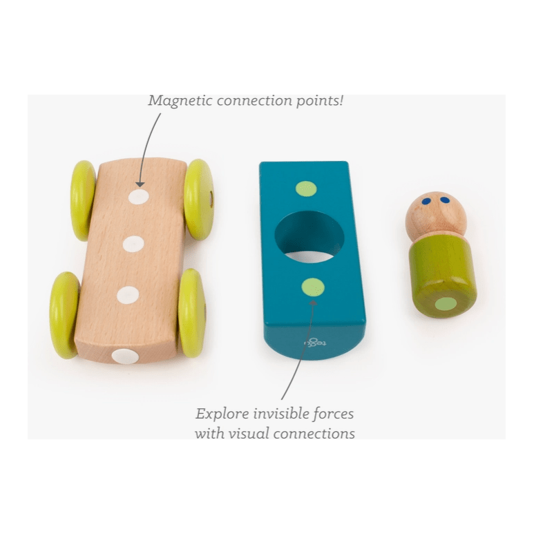 Tegu Magnetic Racer